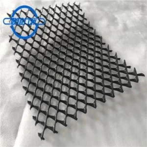 Two-Dimensional Geonet